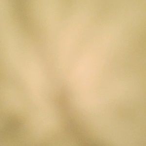 Meet your Posher, Selam